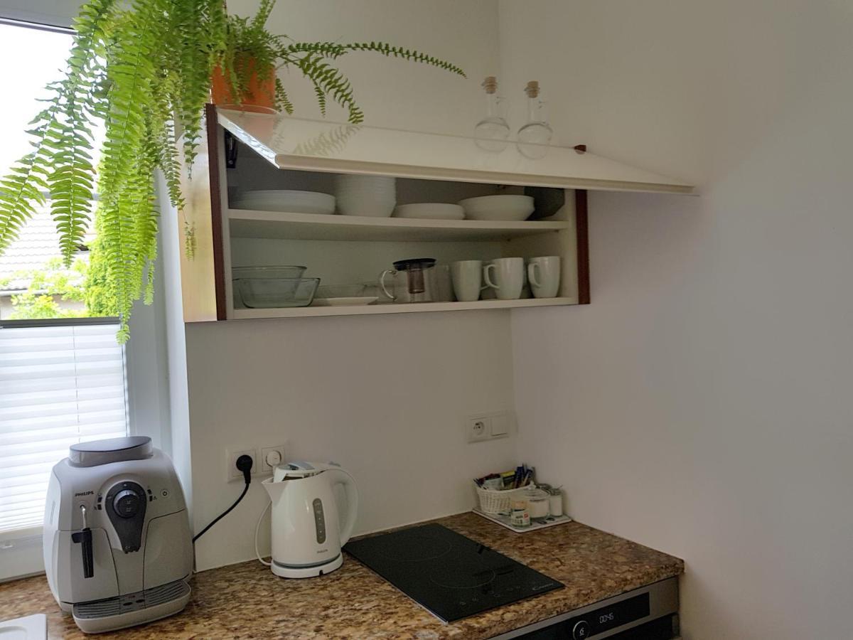 Pod Modrzewiami Apartment กรินีซา ดรอยจ์ ภายนอก รูปภาพ